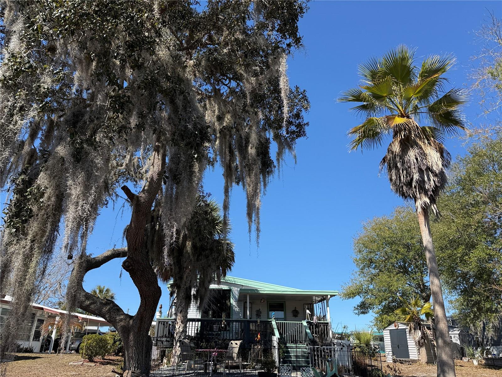 Image 19 of 27 For 9408 Cougar Drive