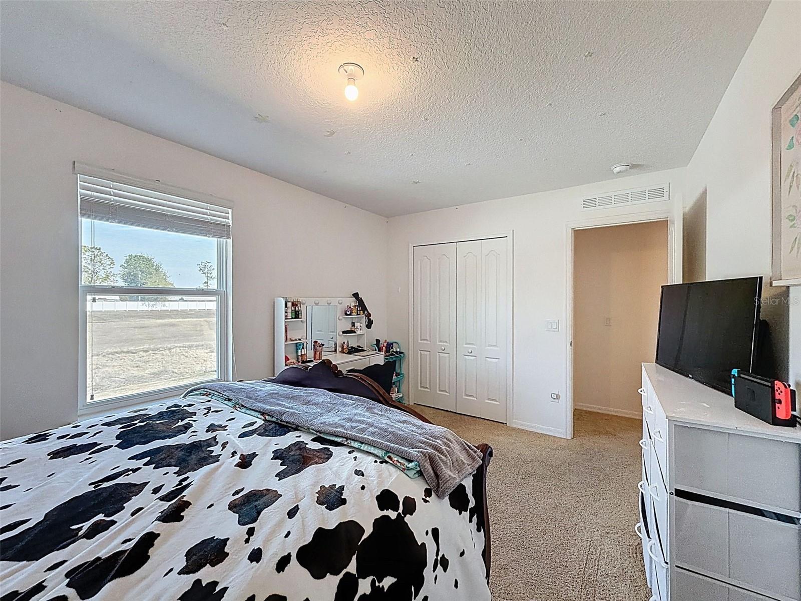 Image 21 of 34 For 36115 Markree Castle Avenue