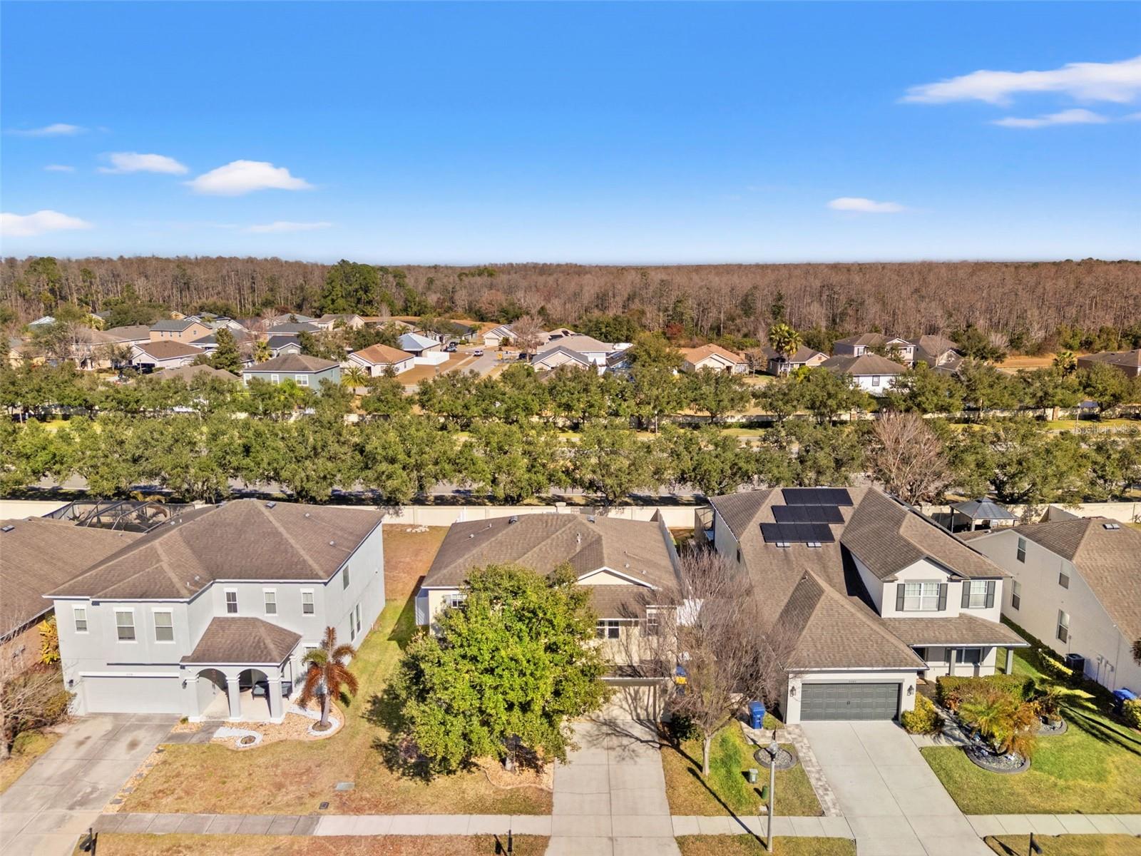 Image 4 of 63 For 5586 Angelonia Terrace