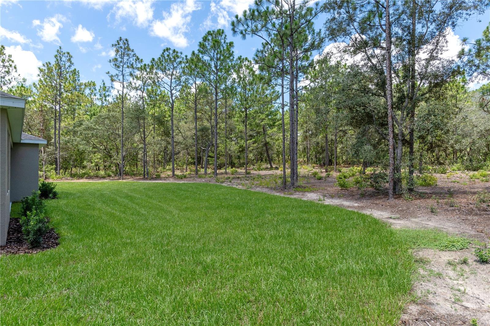 Image 49 of 50 For 5188 Cliff Drive