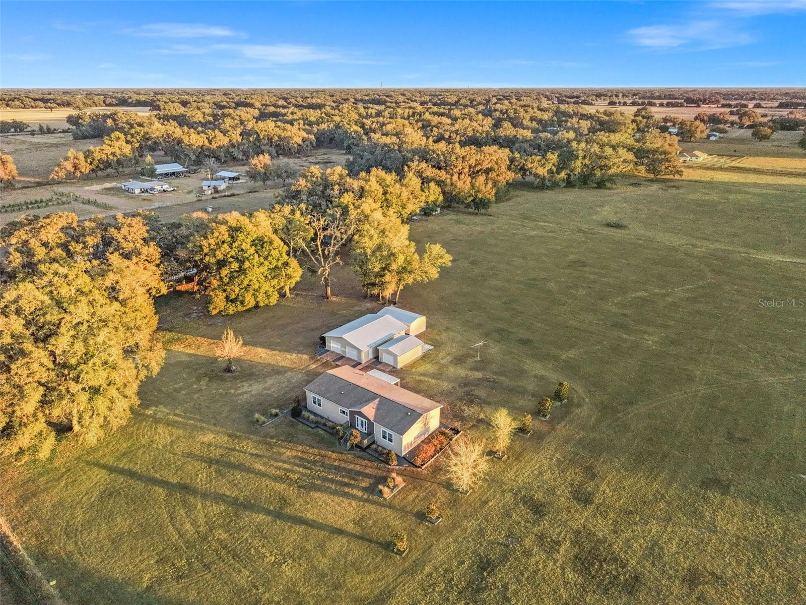 Image 42 of 47 For 2621 C 478a  