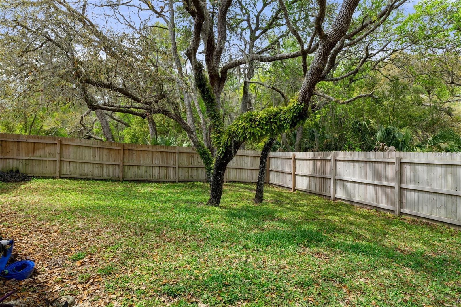 Image 36 of 37 For 6475 Laurel Oak Drive