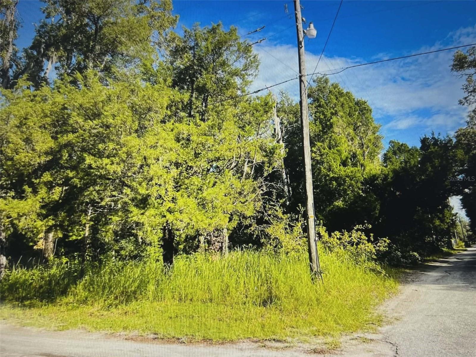 Listing photo id 1 for 12139 Rutherford Lane