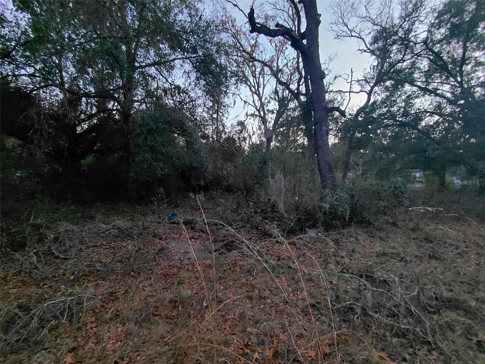 Listing photo id 2 for 12139 Rutherford Lane