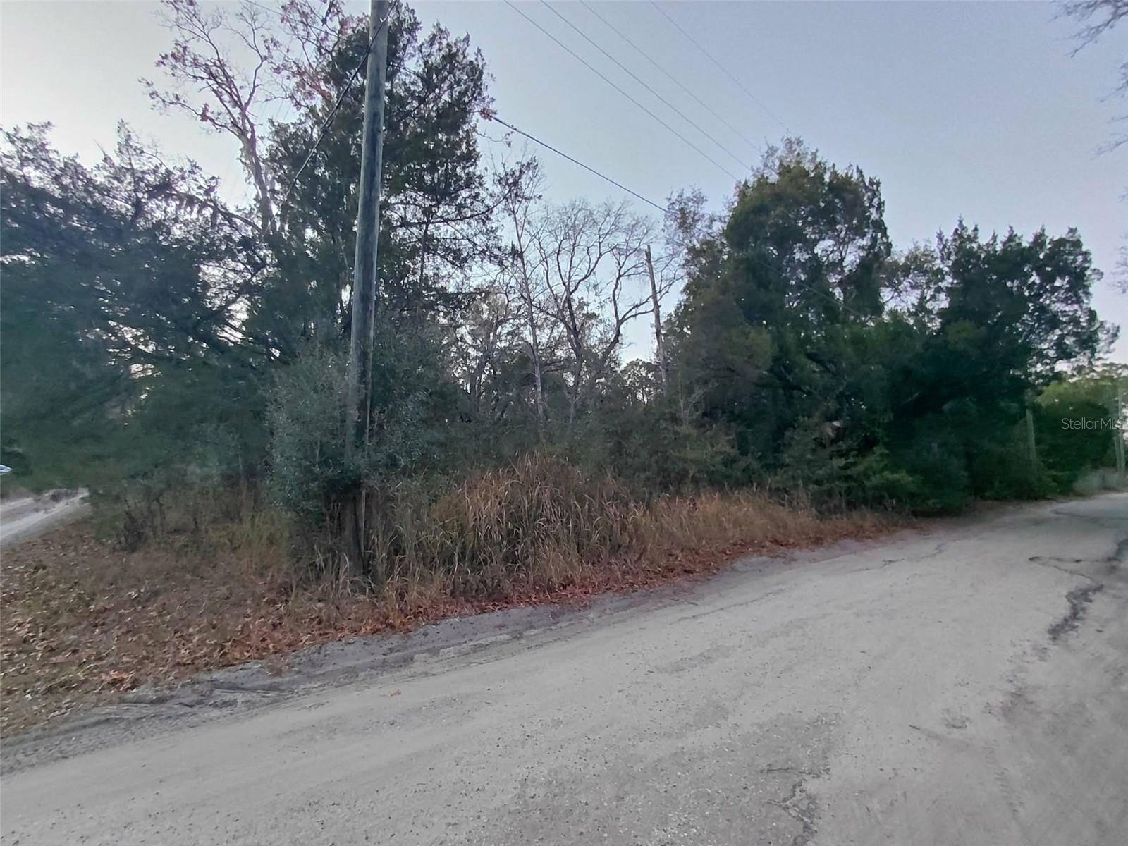 Listing photo id 3 for 12139 Rutherford Lane