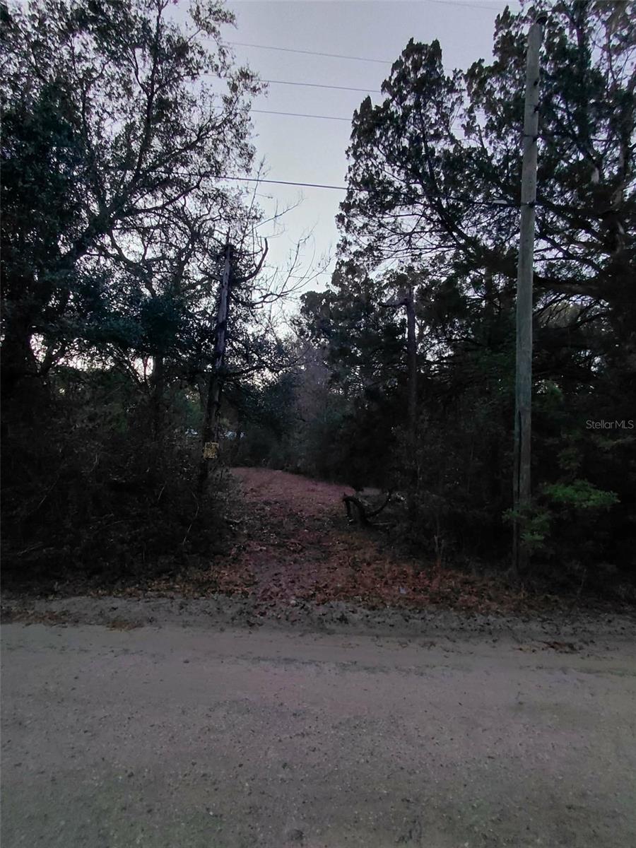 Listing photo id 5 for 12139 Rutherford Lane