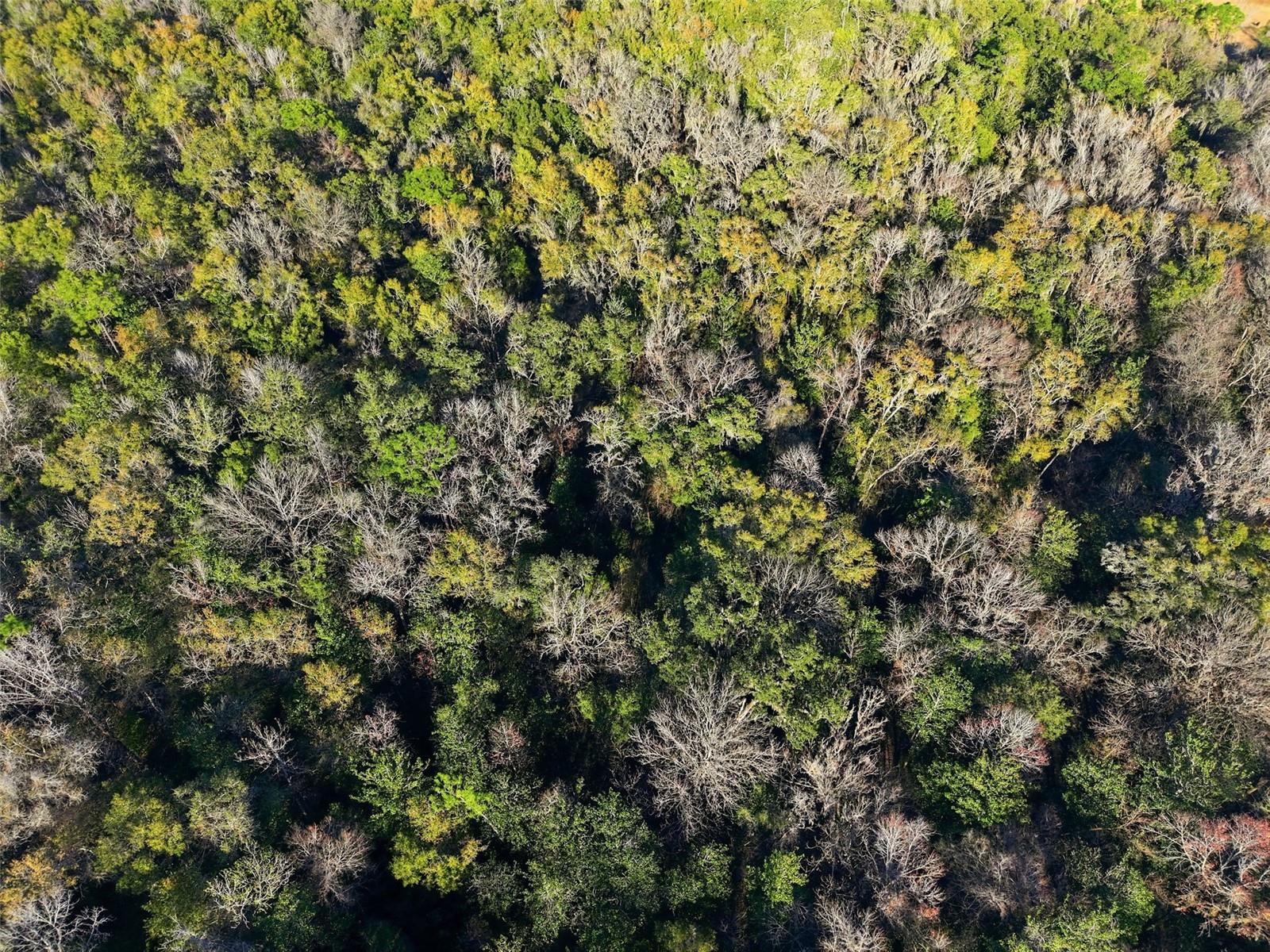 Image 3 of 6 For 0 Thompson Loop