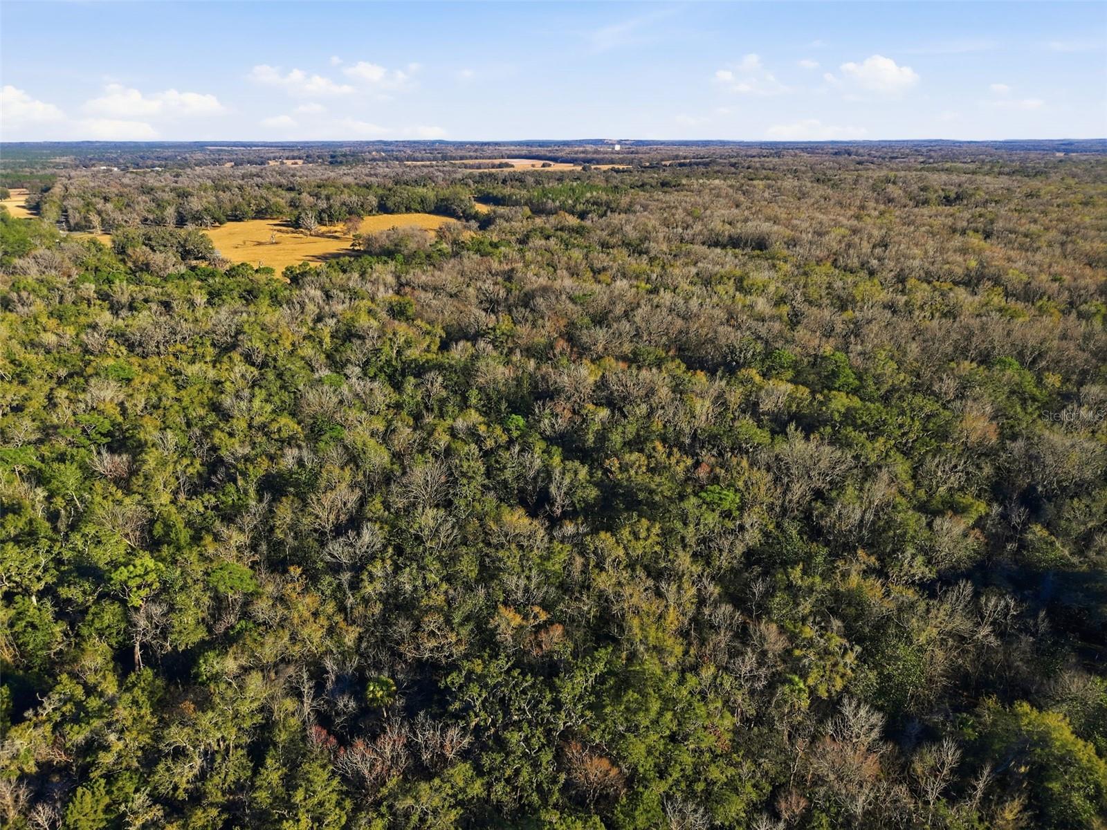 Image 4 of 6 For 0 Thompson Loop