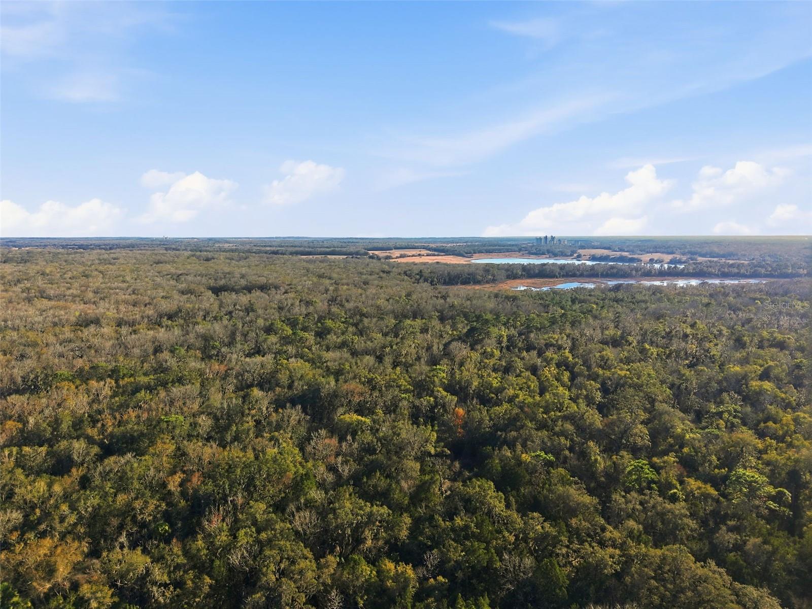 Image 5 of 6 For 0 Thompson Loop