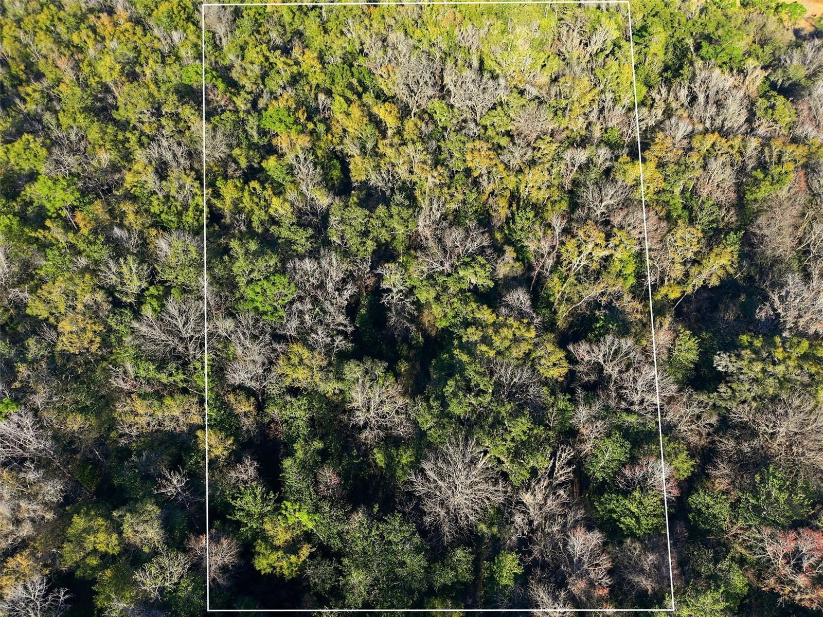 Image 6 of 6 For 0 Thompson Loop