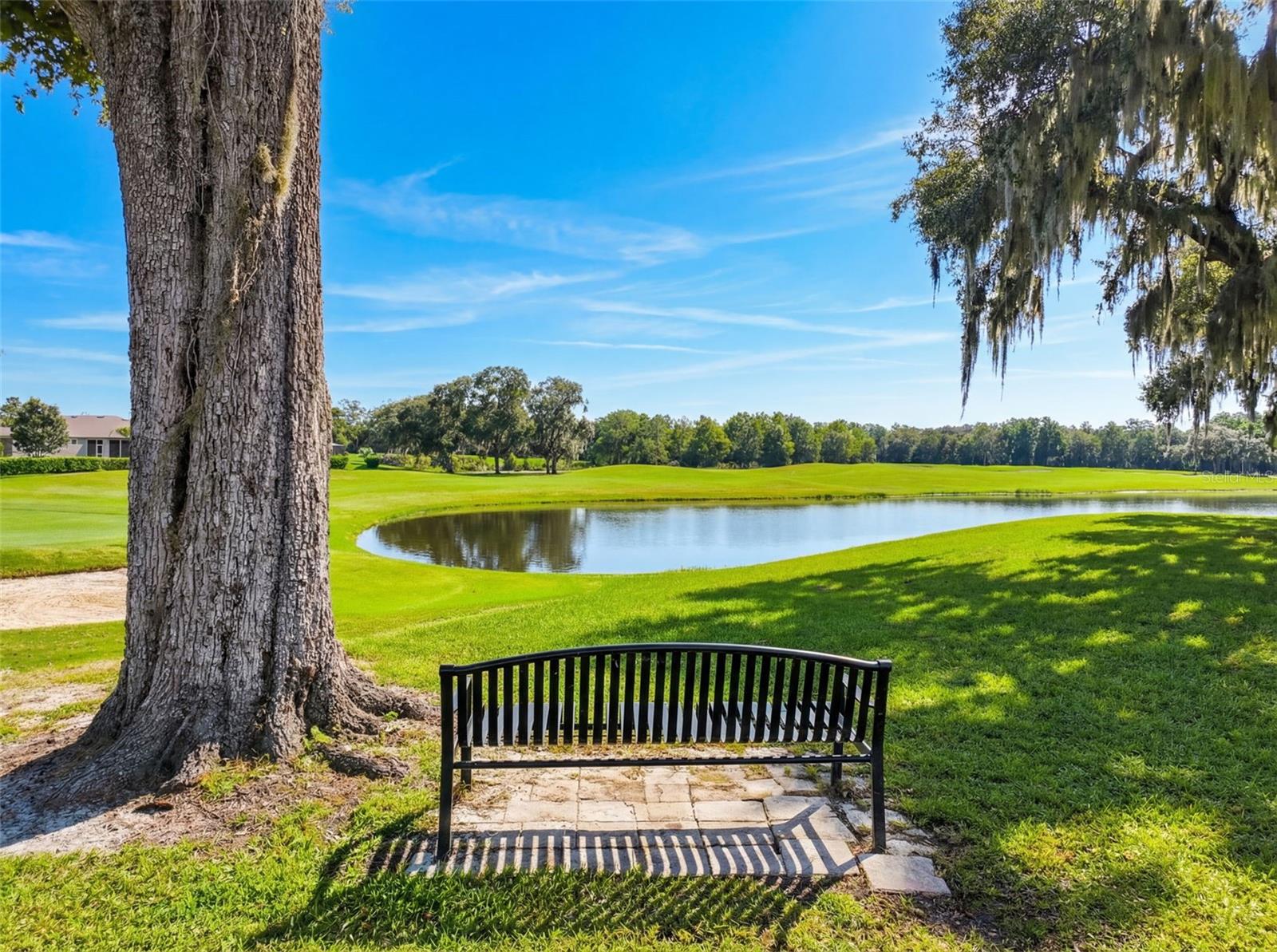 Image 71 of 75 For 17690 Garsalaso Circle