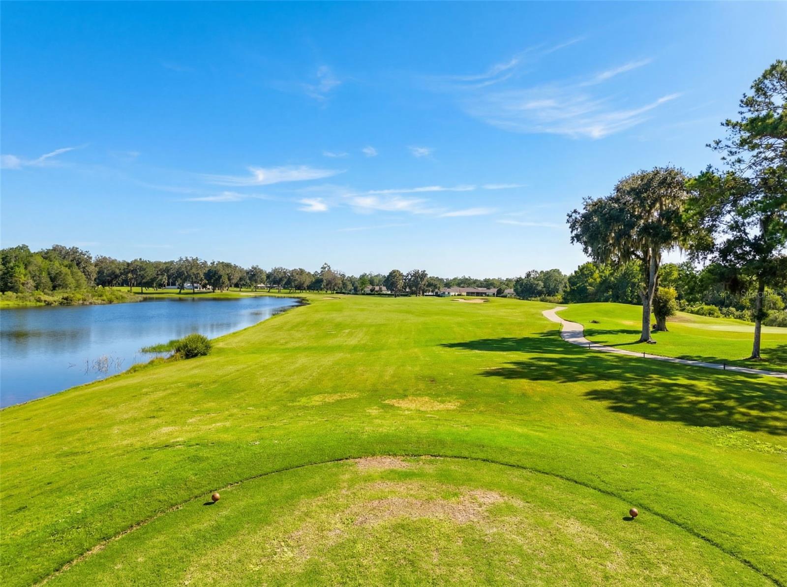 Image 72 of 75 For 17690 Garsalaso Circle