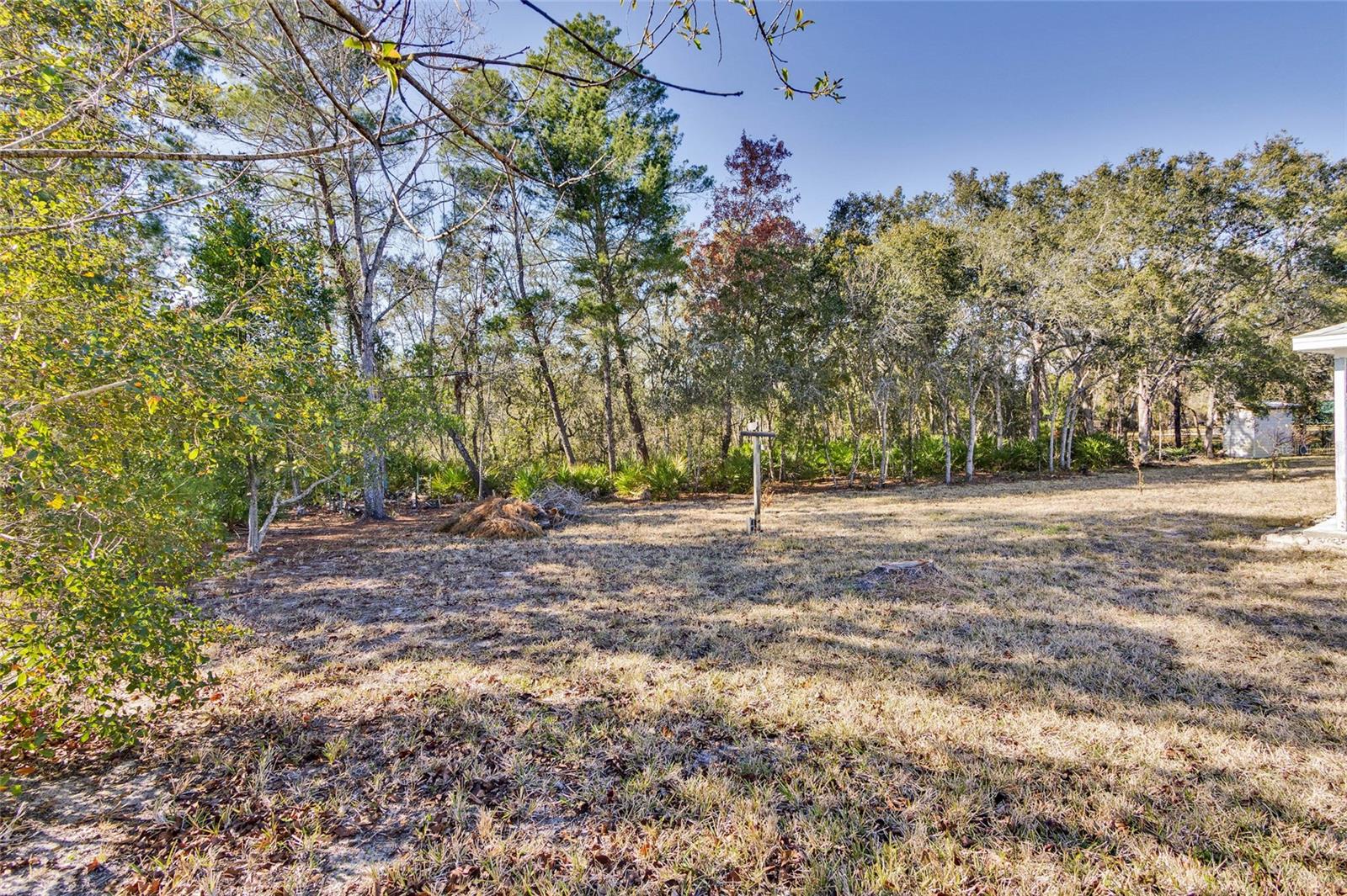 Image 38 of 48 For 7095 Blackbird Avenue