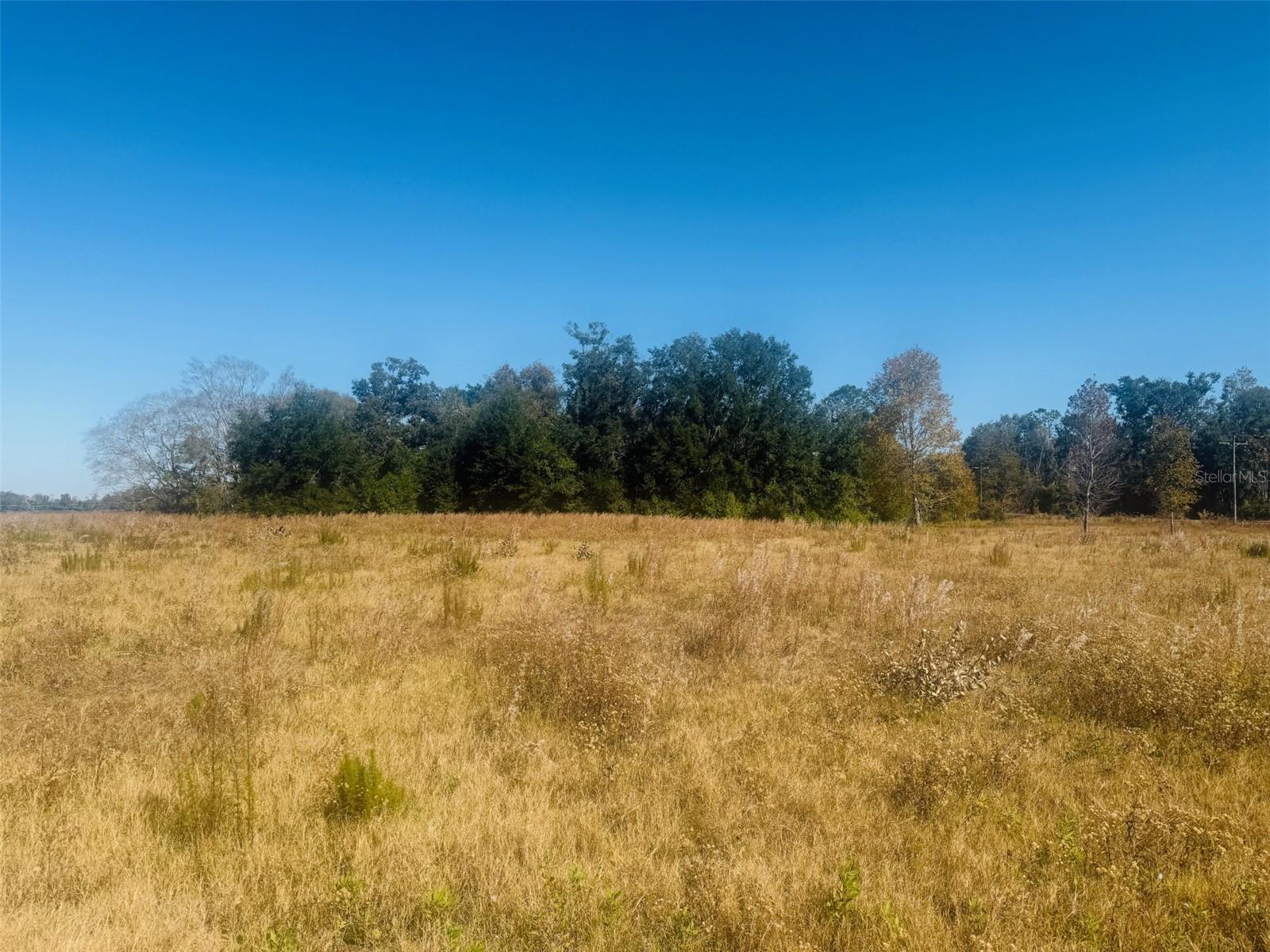 Image 4 of 22 For 11822 153rd Road