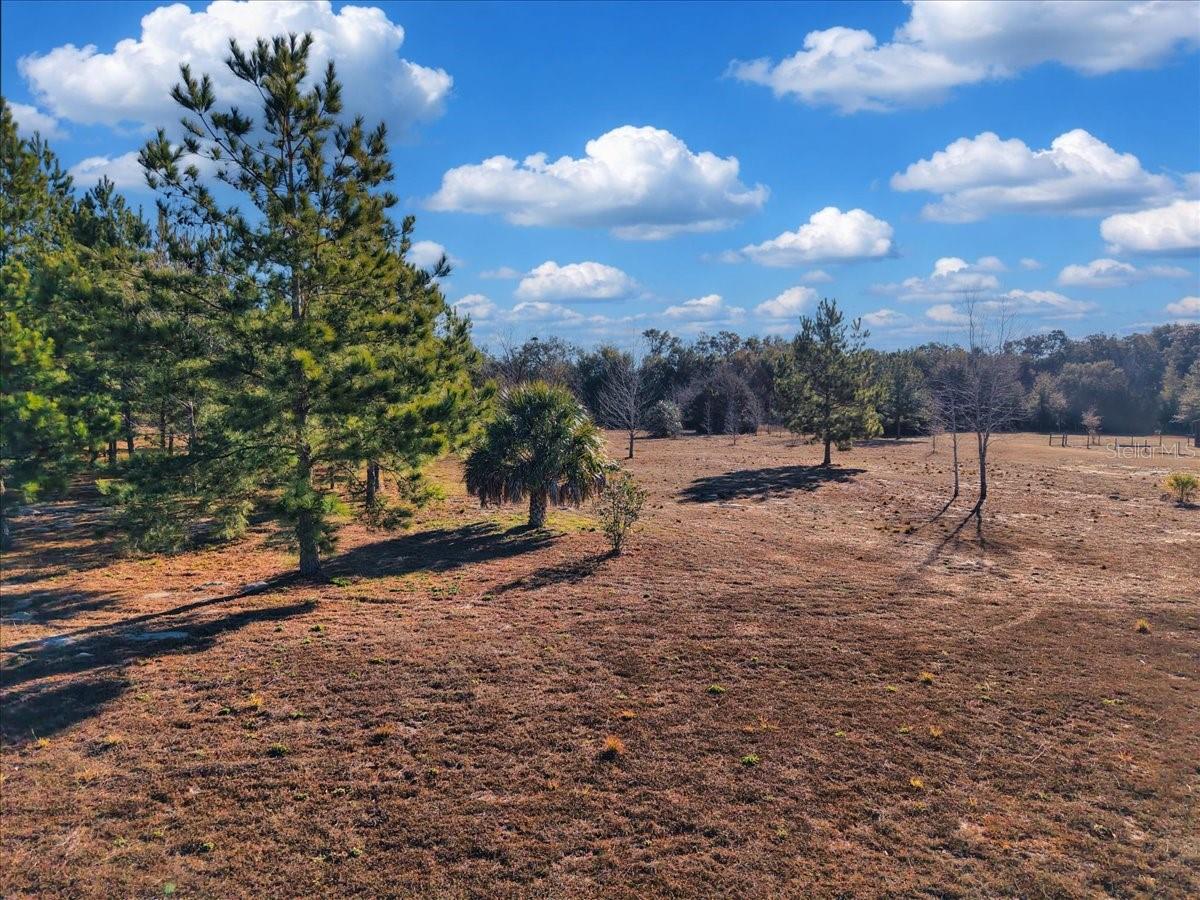 Image 4 of 13 For  76th Avenue 