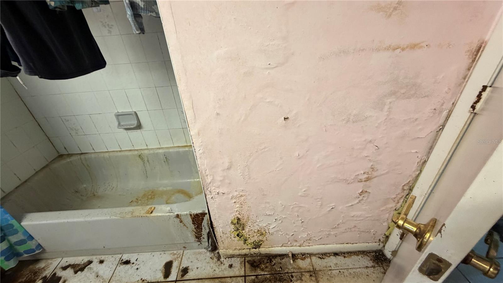 Image 17 of 51 For 2462 Stephanie Drive