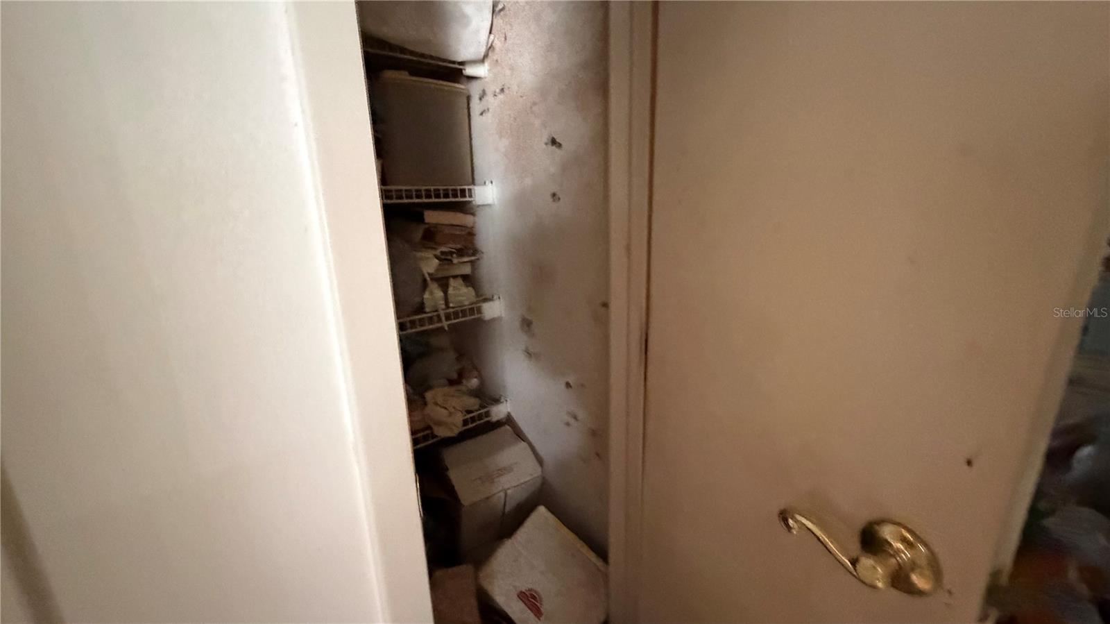 Image 21 of 51 For 2462 Stephanie Drive