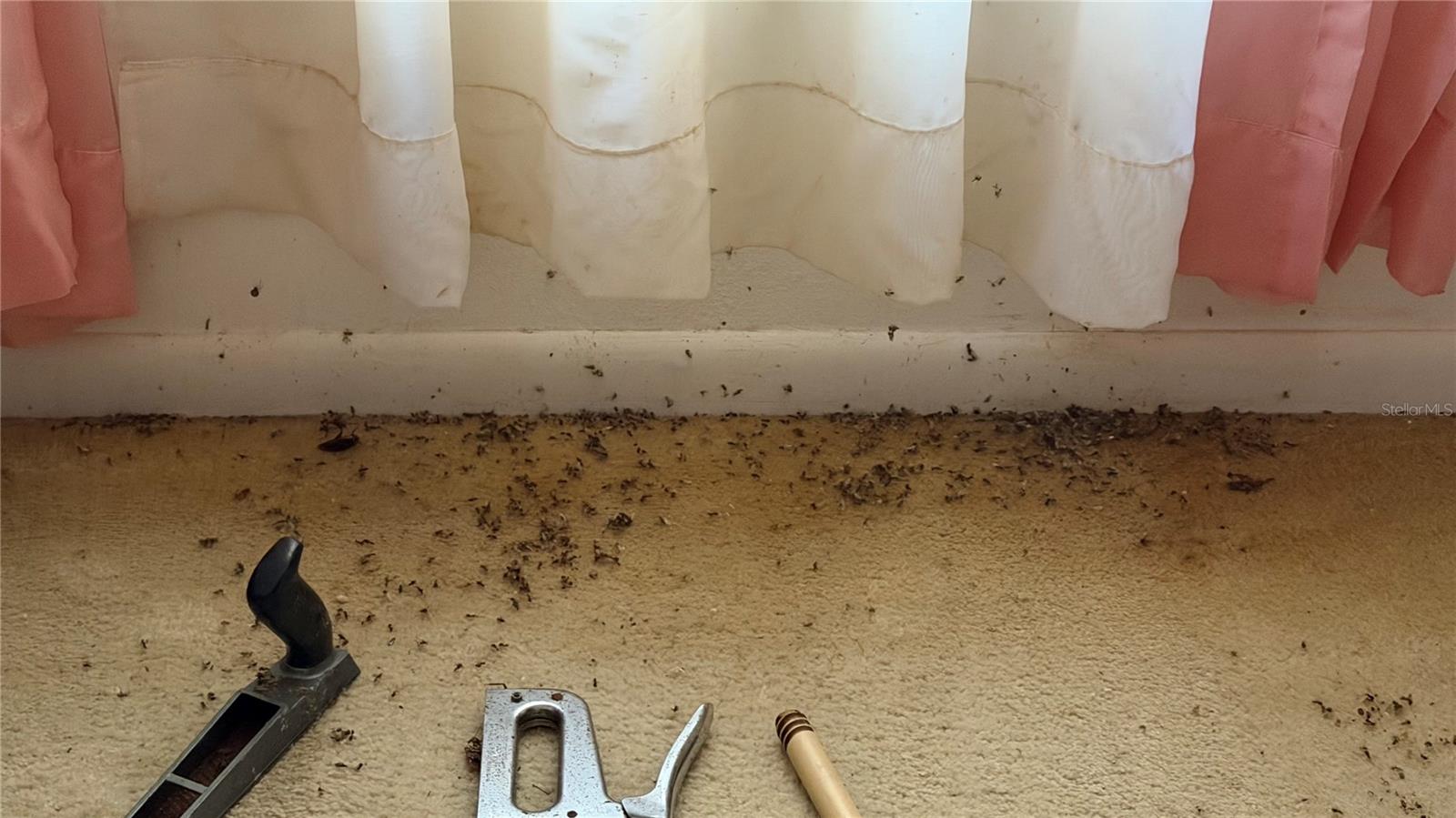 Image 24 of 51 For 2462 Stephanie Drive