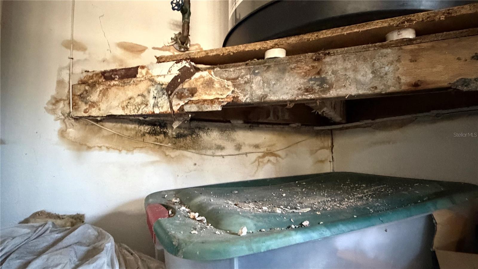 Image 41 of 51 For 2462 Stephanie Drive