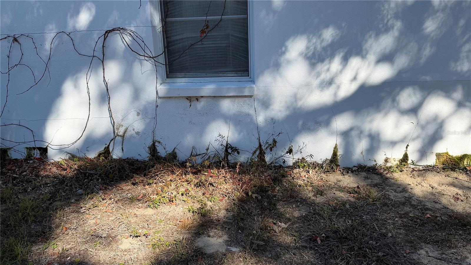 Image 44 of 51 For 2462 Stephanie Drive