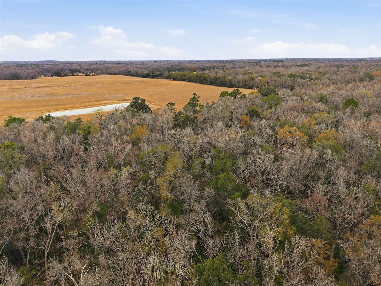 Image 8 of 15 For 0 Ponce De Leon Boulevard
