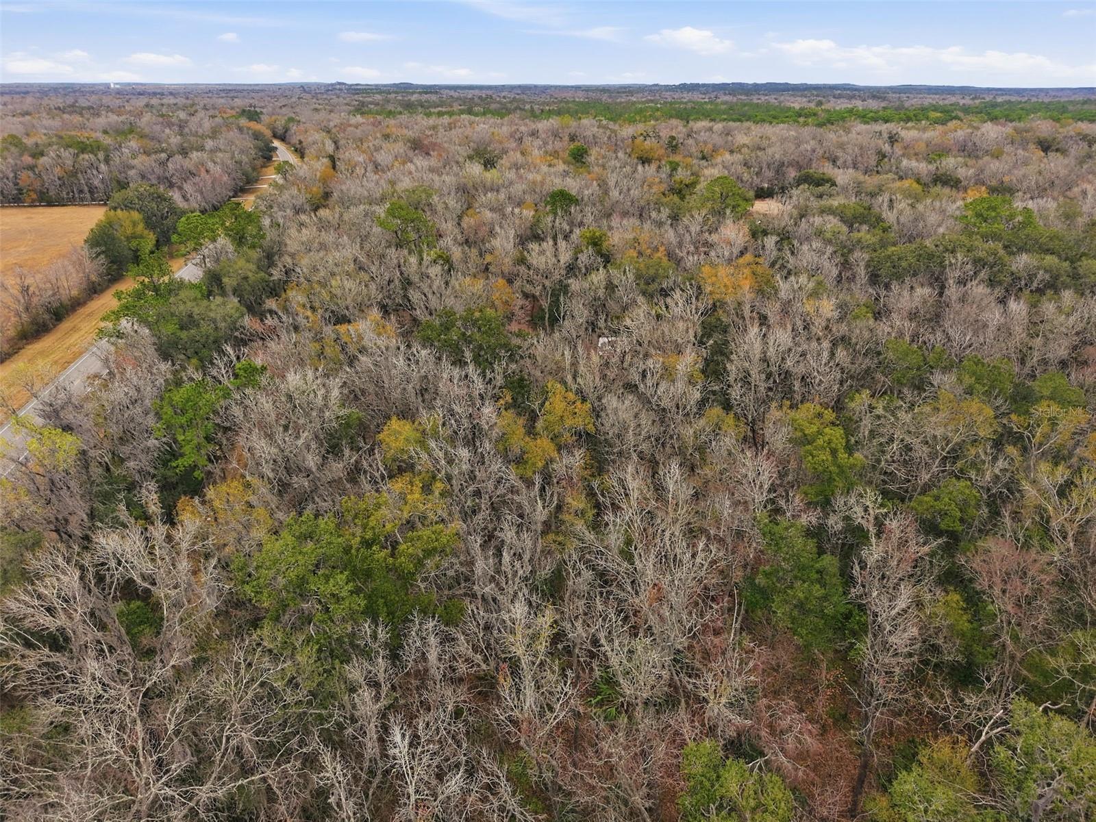 Image 9 of 15 For 0 Ponce De Leon Boulevard