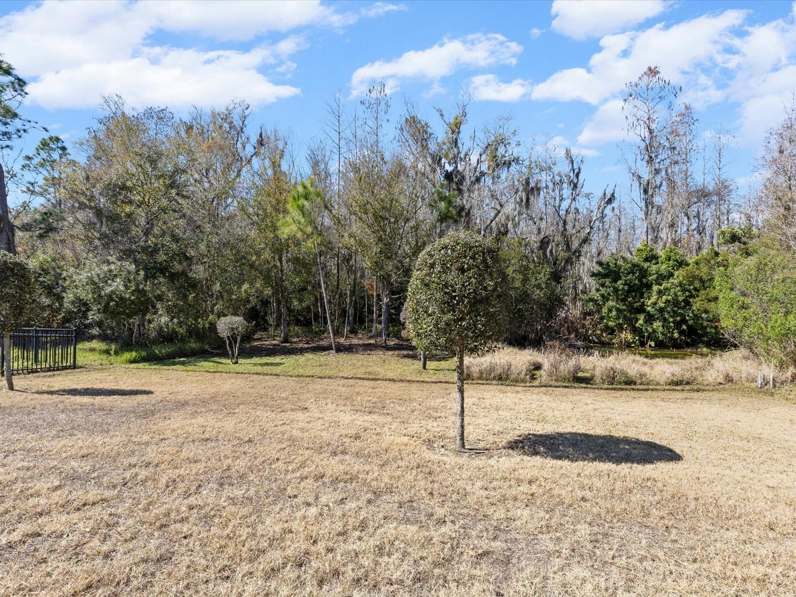 Image 38 of 82 For 2873 Storybrook Preserve Drive