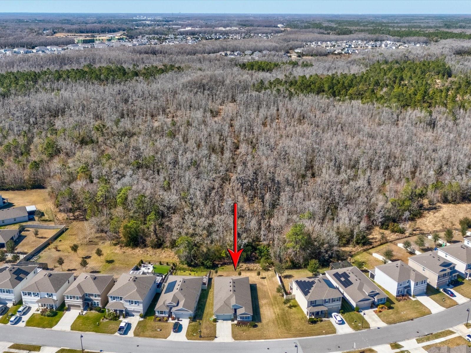 Image 48 of 82 For 2873 Storybrook Preserve Drive