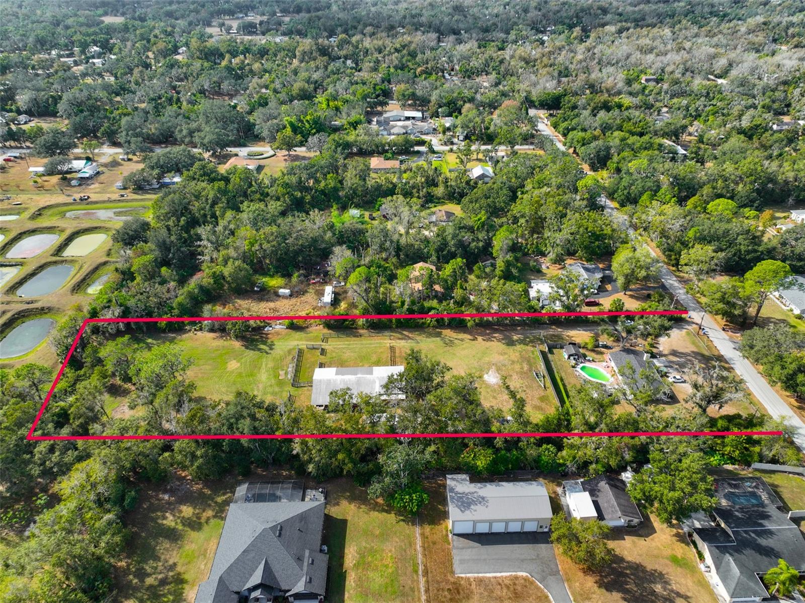 Listing photo id 6 for 7450 Alafia Ridge Loop