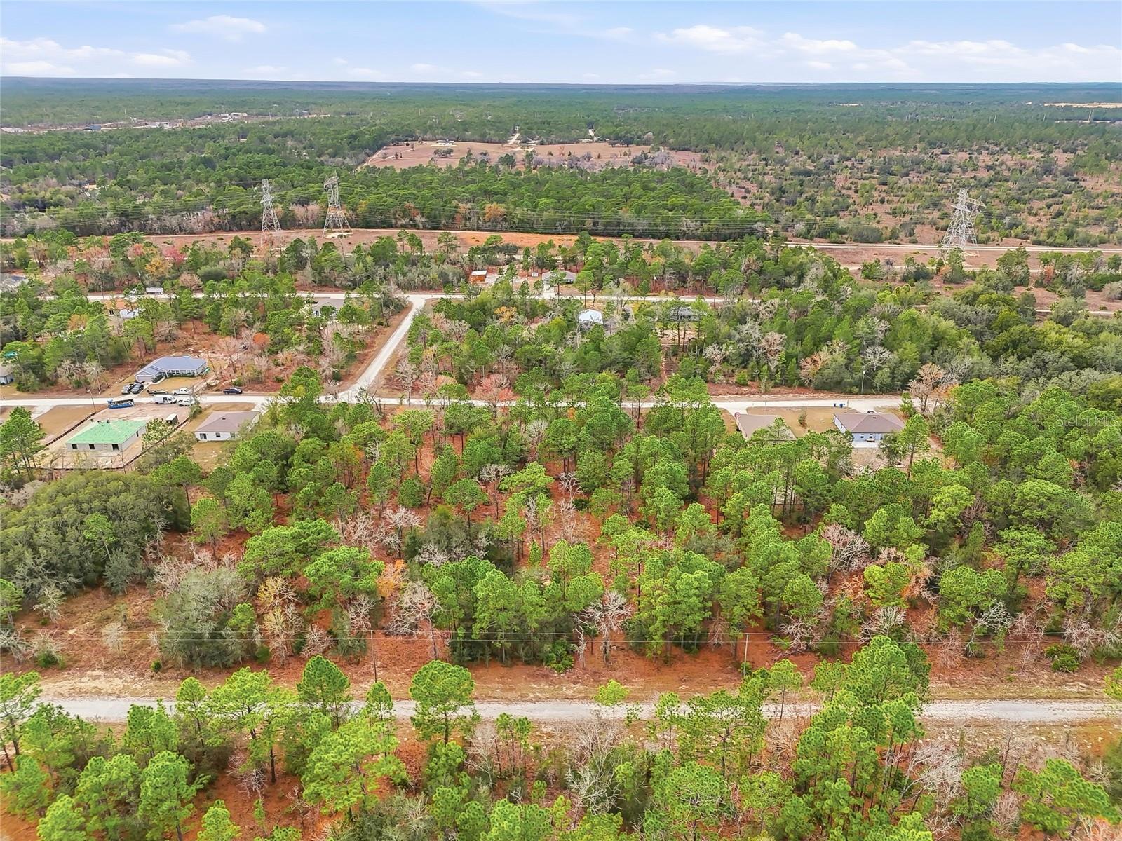 Image 3 of 6 For  Cayman Road 