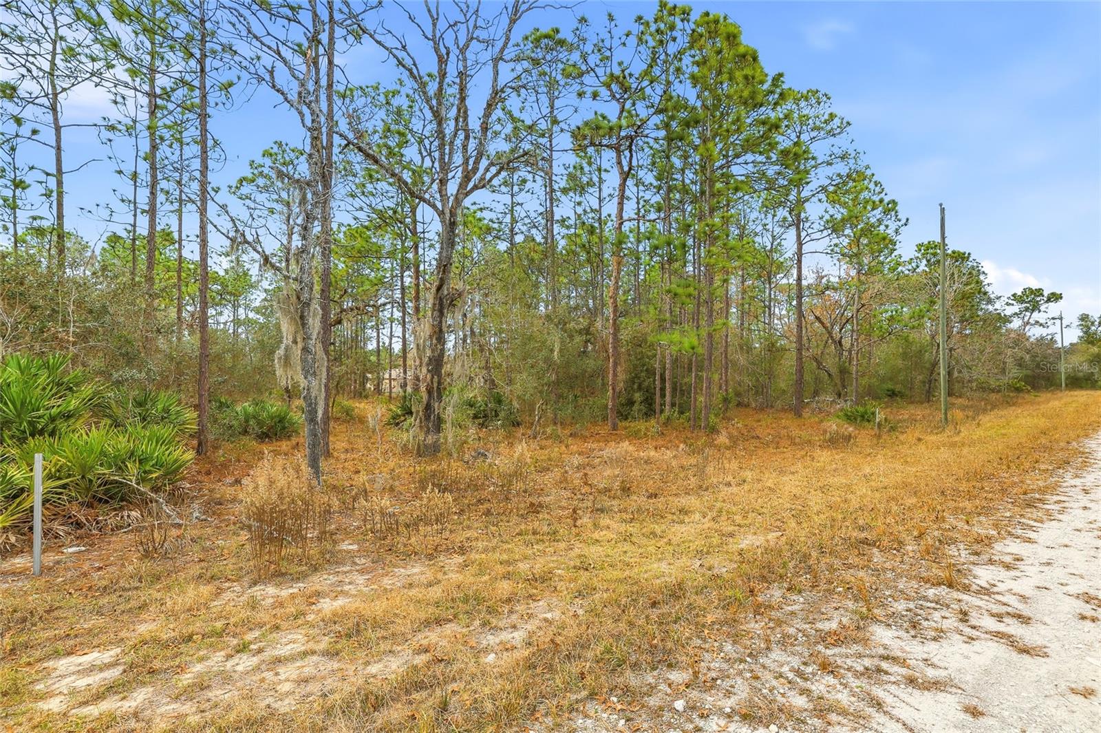 Image 5 of 6 For  Cayman Road 