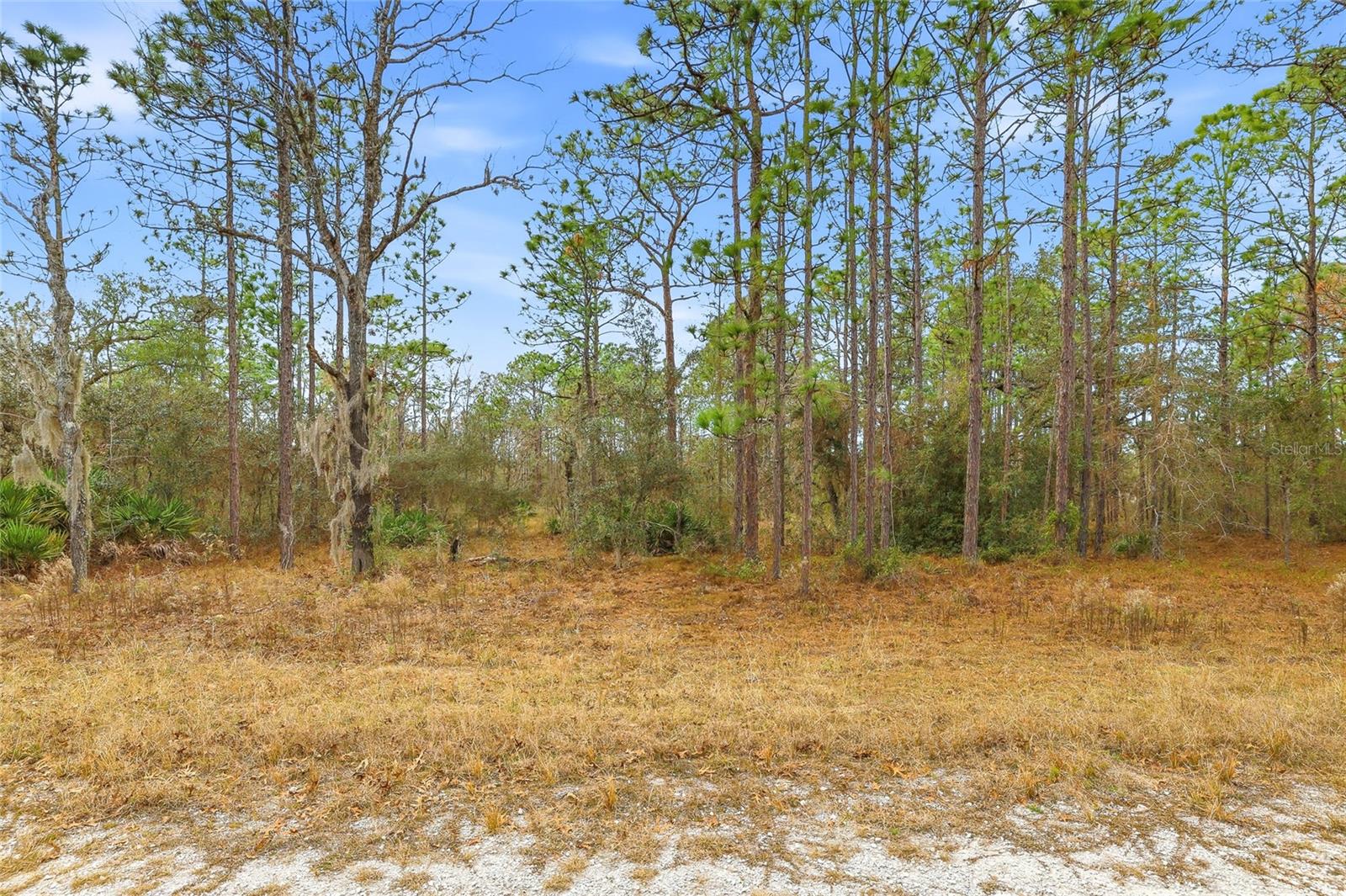 Image 6 of 6 For  Cayman Road 