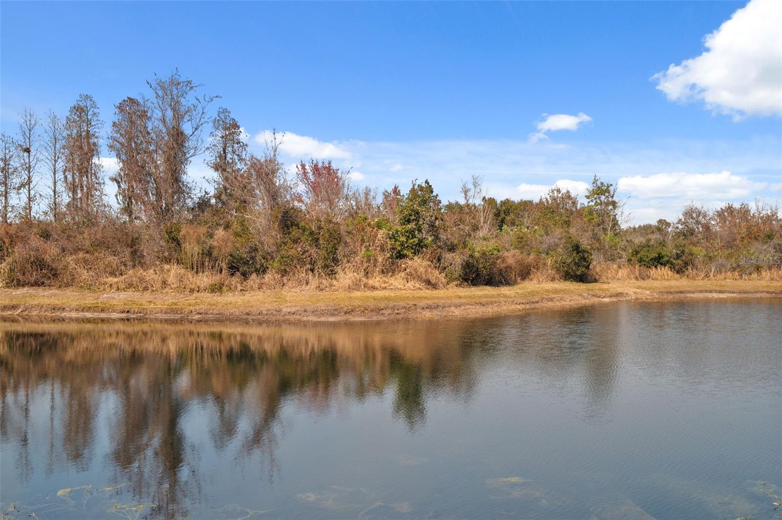 Image 73 of 78 For 18441 New London Avenue