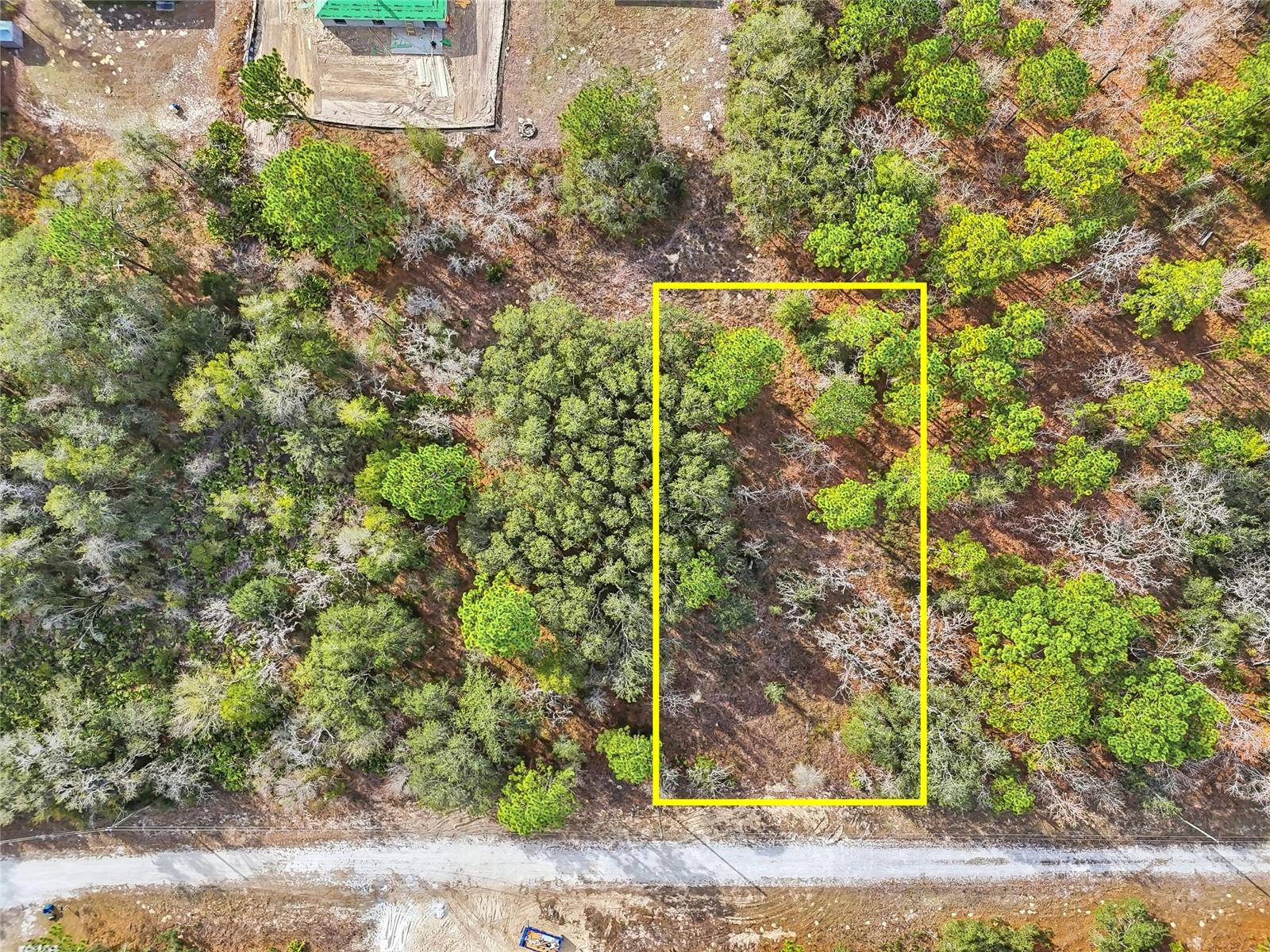 Image 9 of 14 For  Cayman Road 