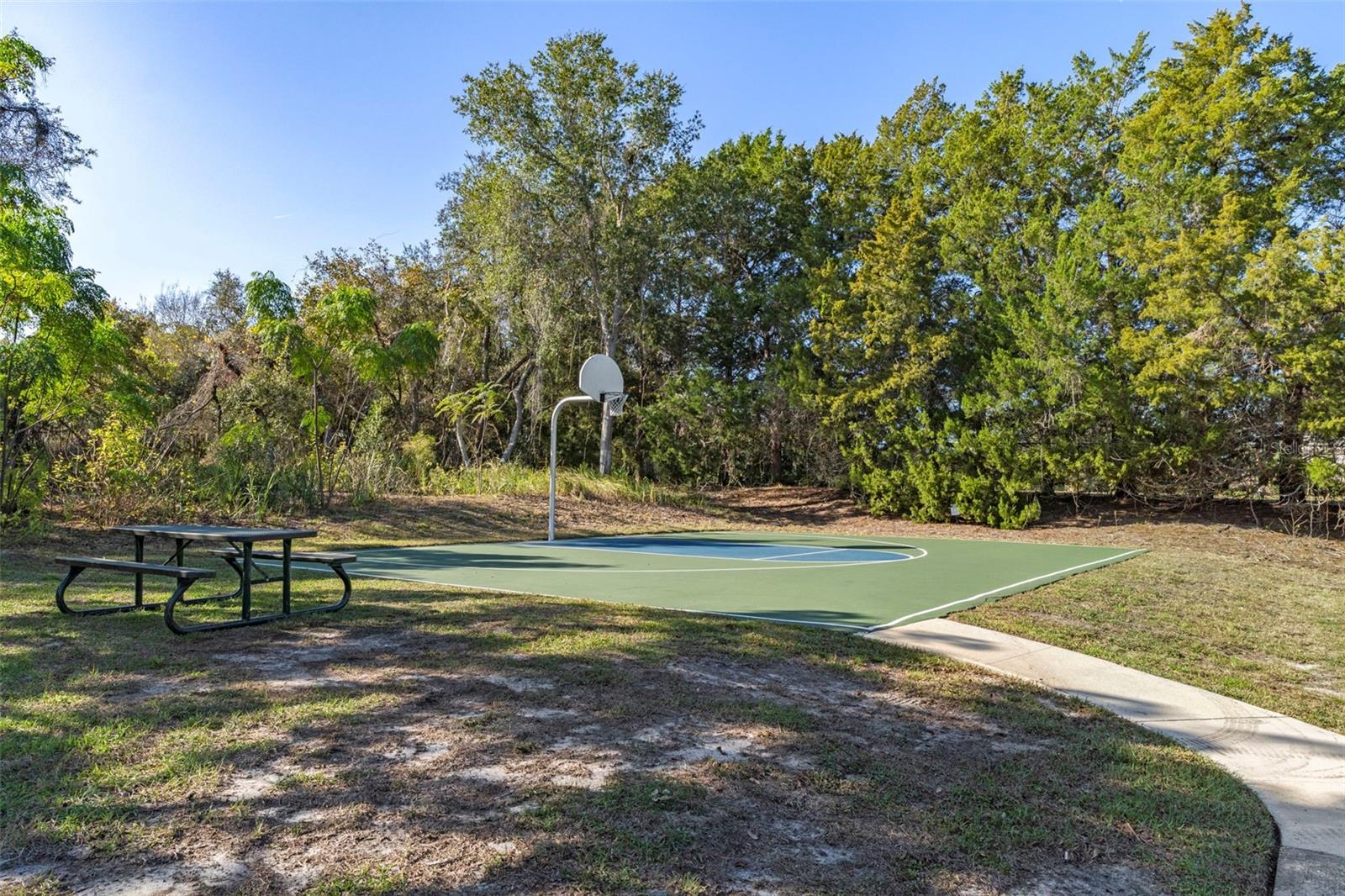 Image 94 of 100 For 7268 Crystal Spring Run