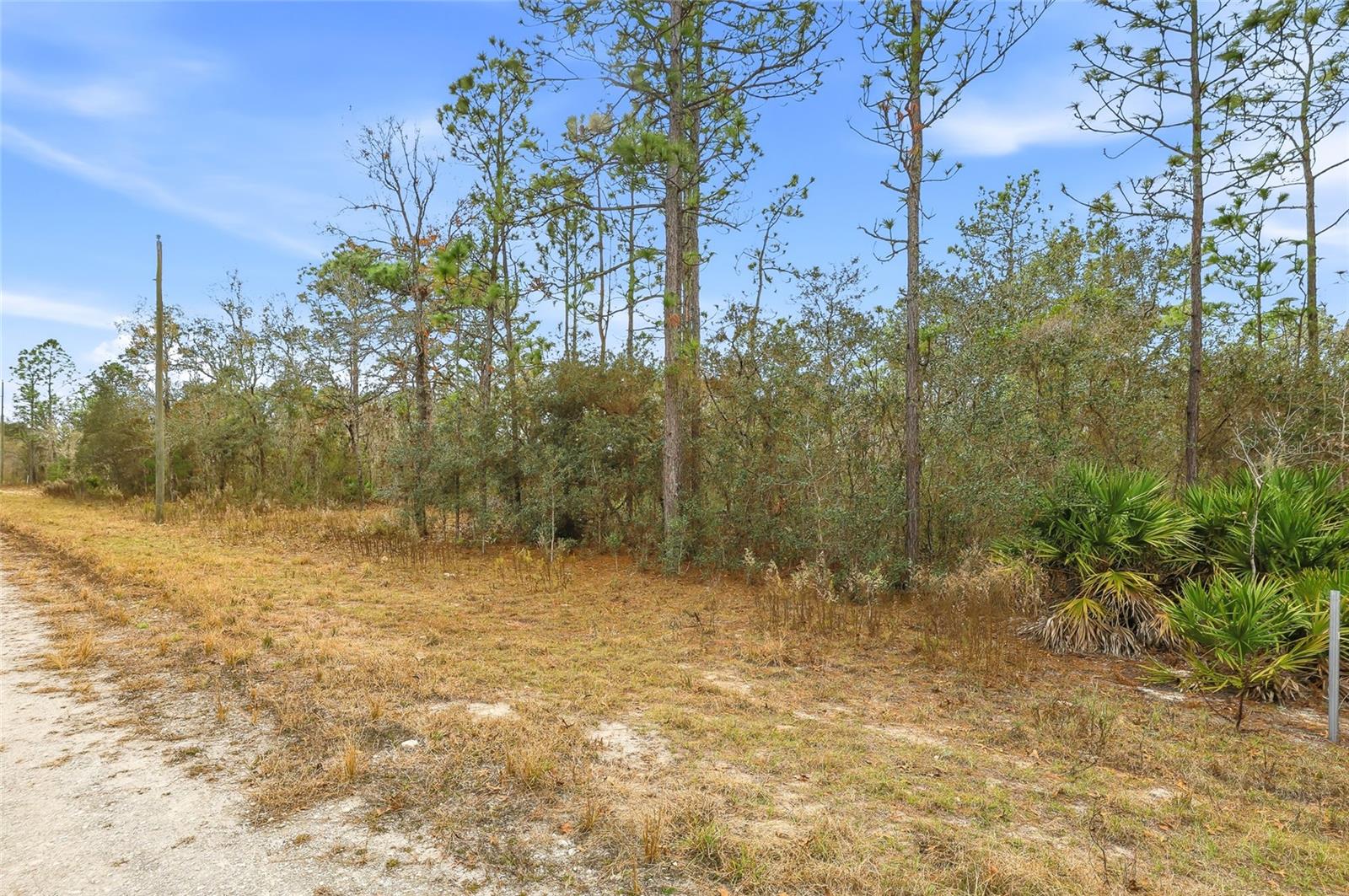 Image 4 of 6 For  Cayman Road 