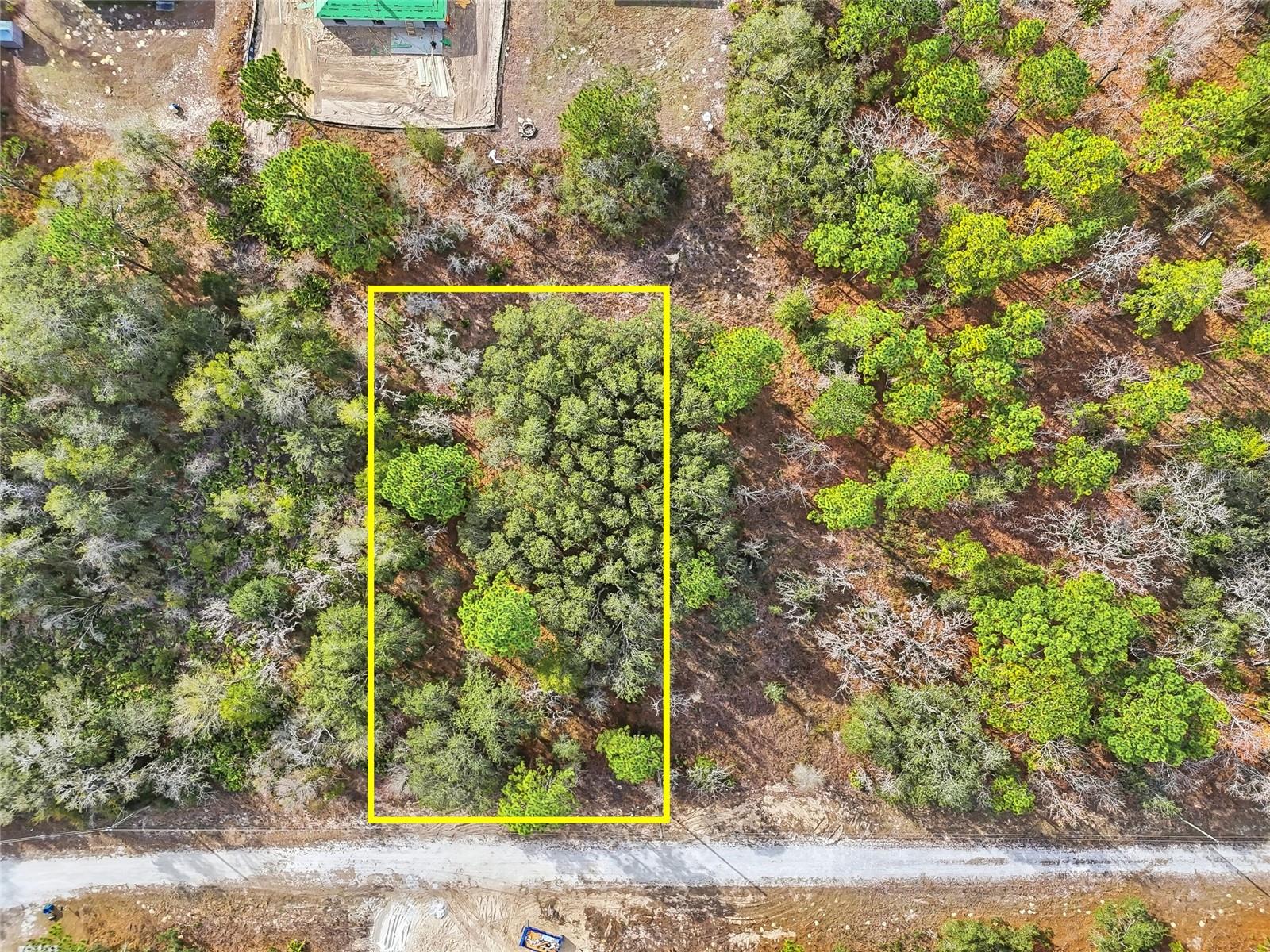 Image 9 of 13 For  Cayman Road 