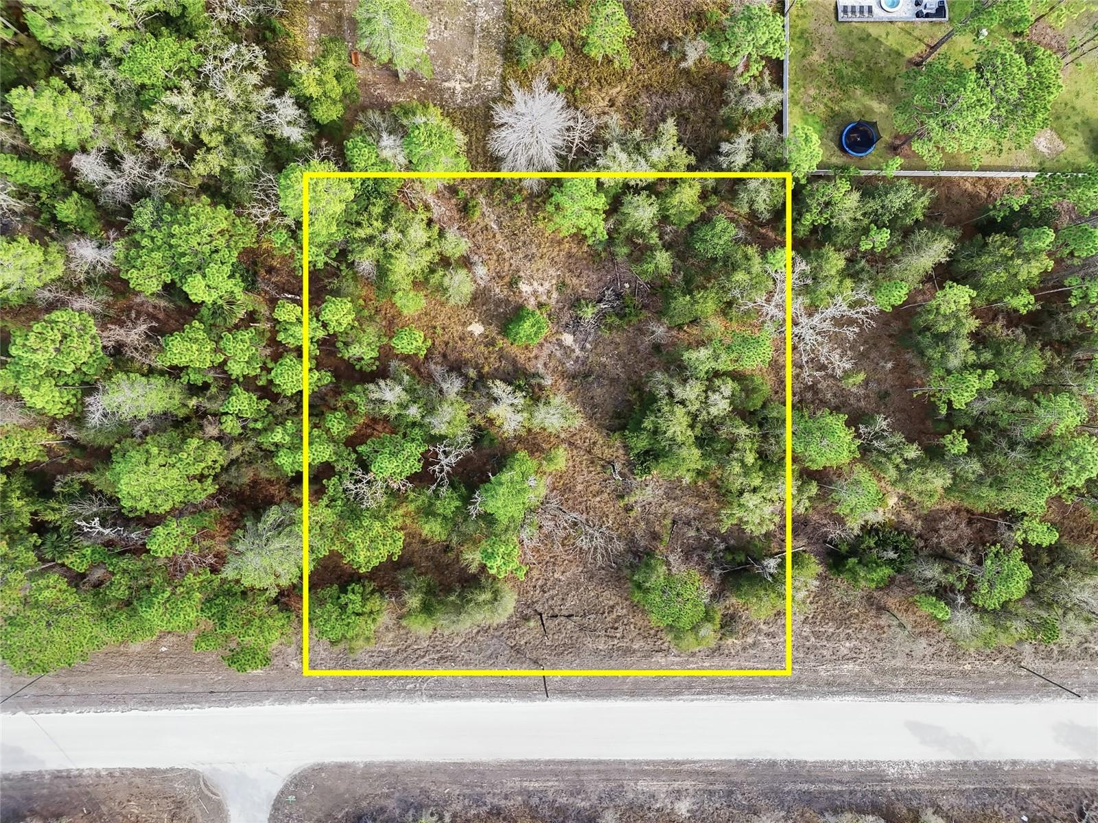 Details for Chimney Swift Road, WEEKI WACHEE, FL 34614