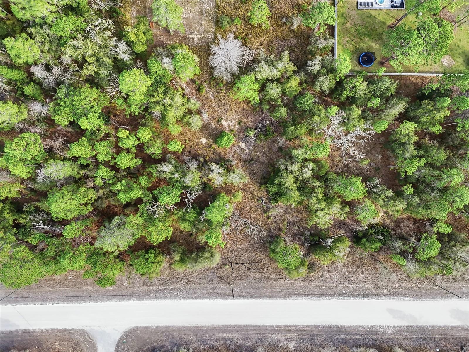 Image 11 of 13 For Chimney Swift Road