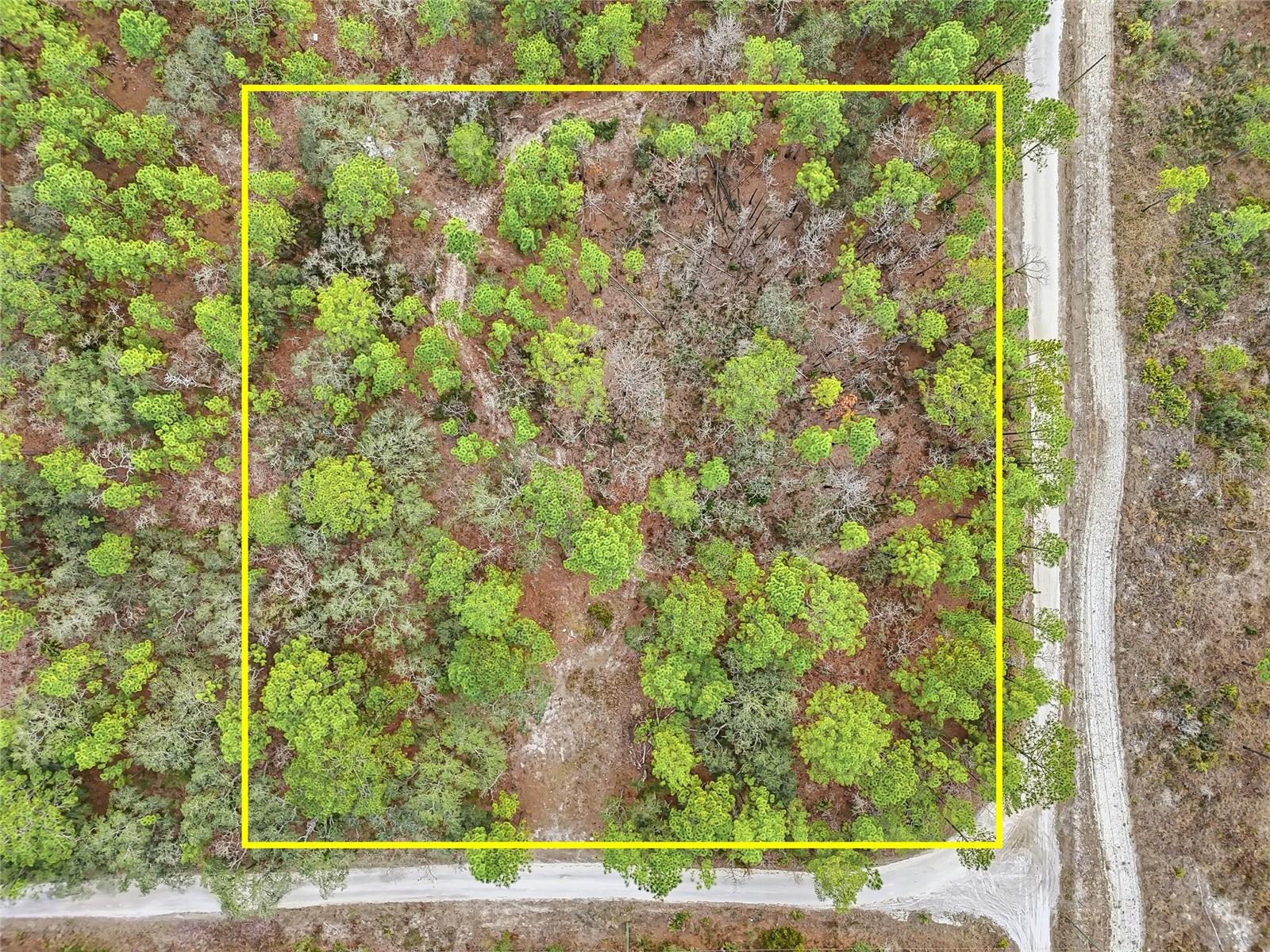 Details for 11388 Thames Avenue, BROOKSVILLE, FL 34614