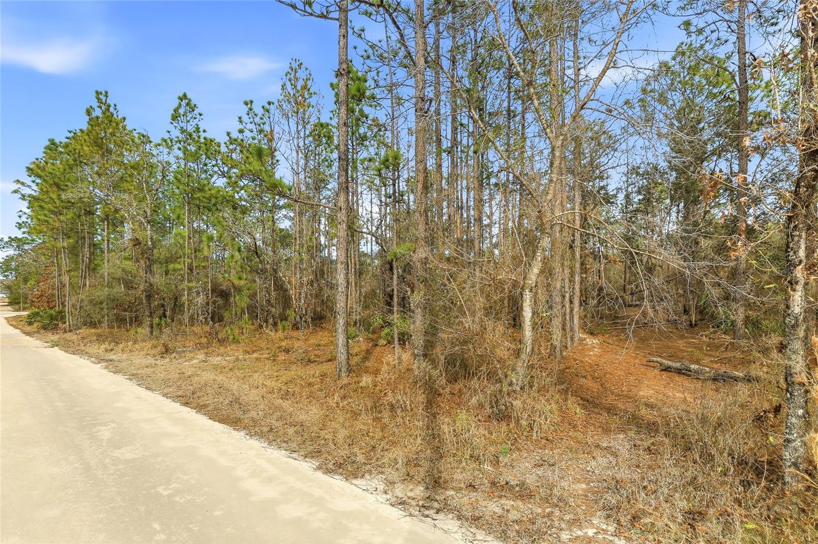 Image 6 of 12 For 11388 Thames Avenue