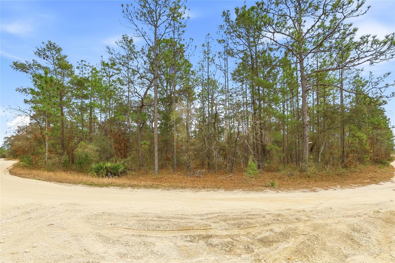 Image 7 of 12 For 11388 Thames Avenue