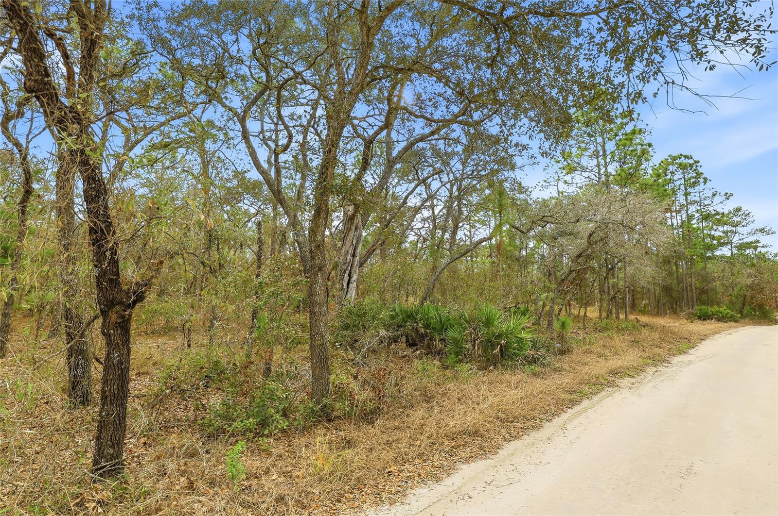 Image 8 of 12 For 11388 Thames Avenue