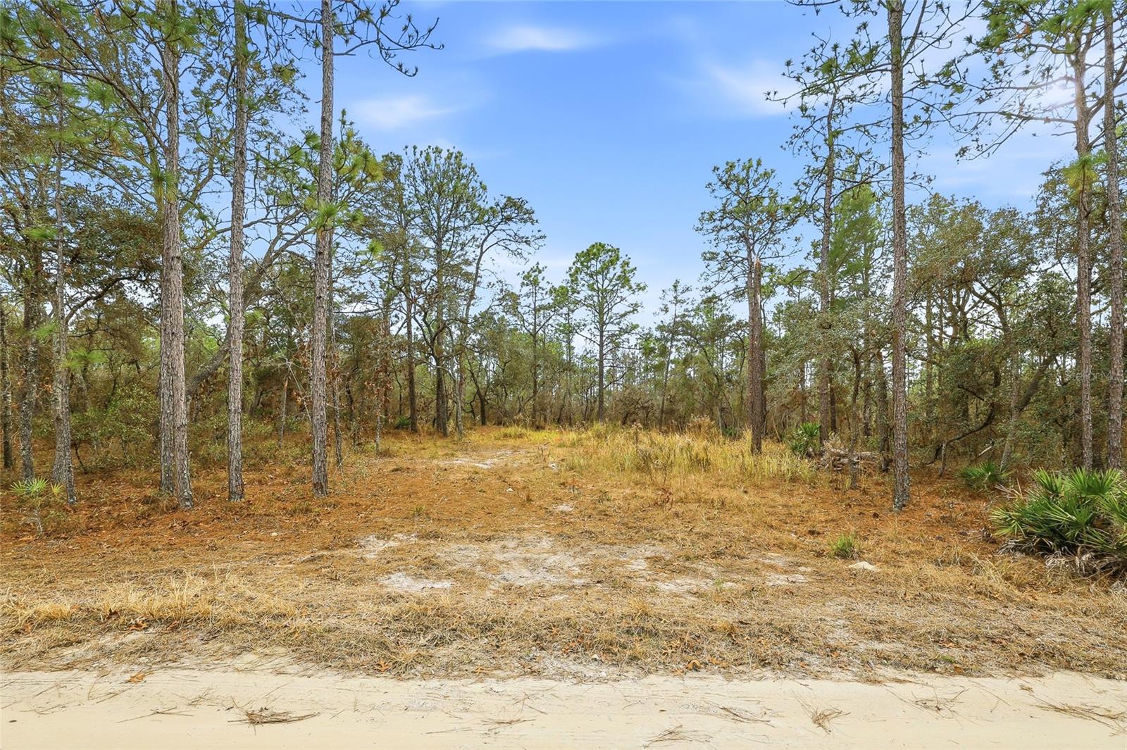 Image 9 of 12 For 11388 Thames Avenue