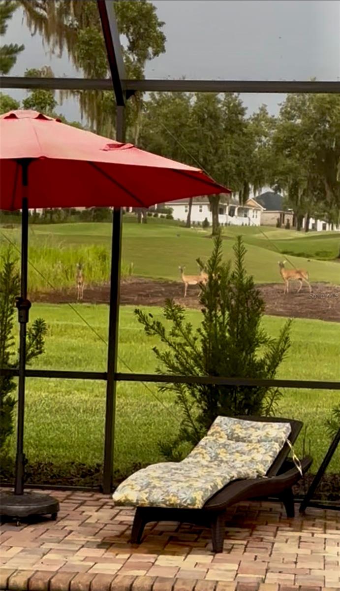 Image 58 of 100 For 19484 Forest Garden Court