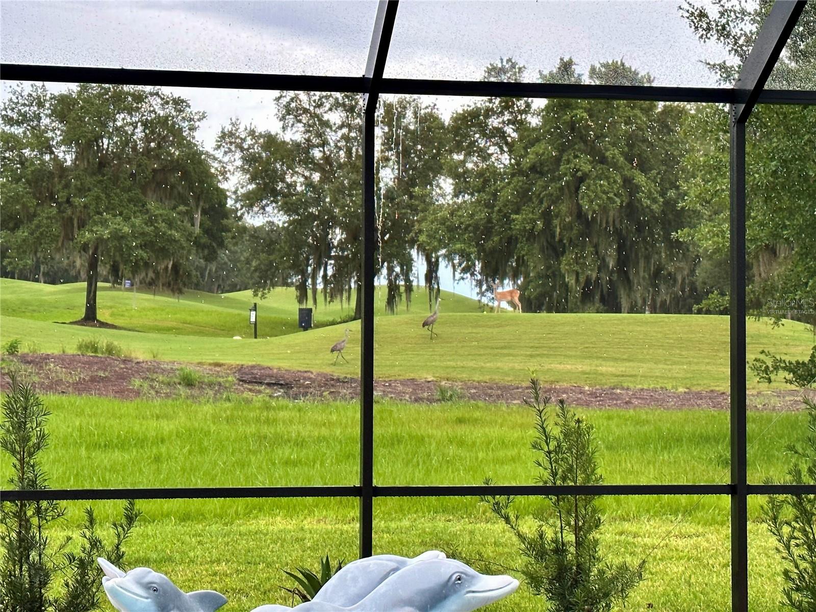 Image 59 of 100 For 19484 Forest Garden Court