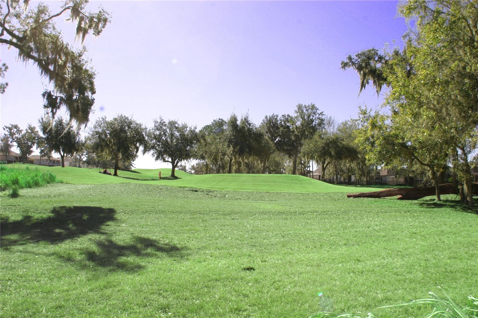 Image 68 of 100 For 19484 Forest Garden Court