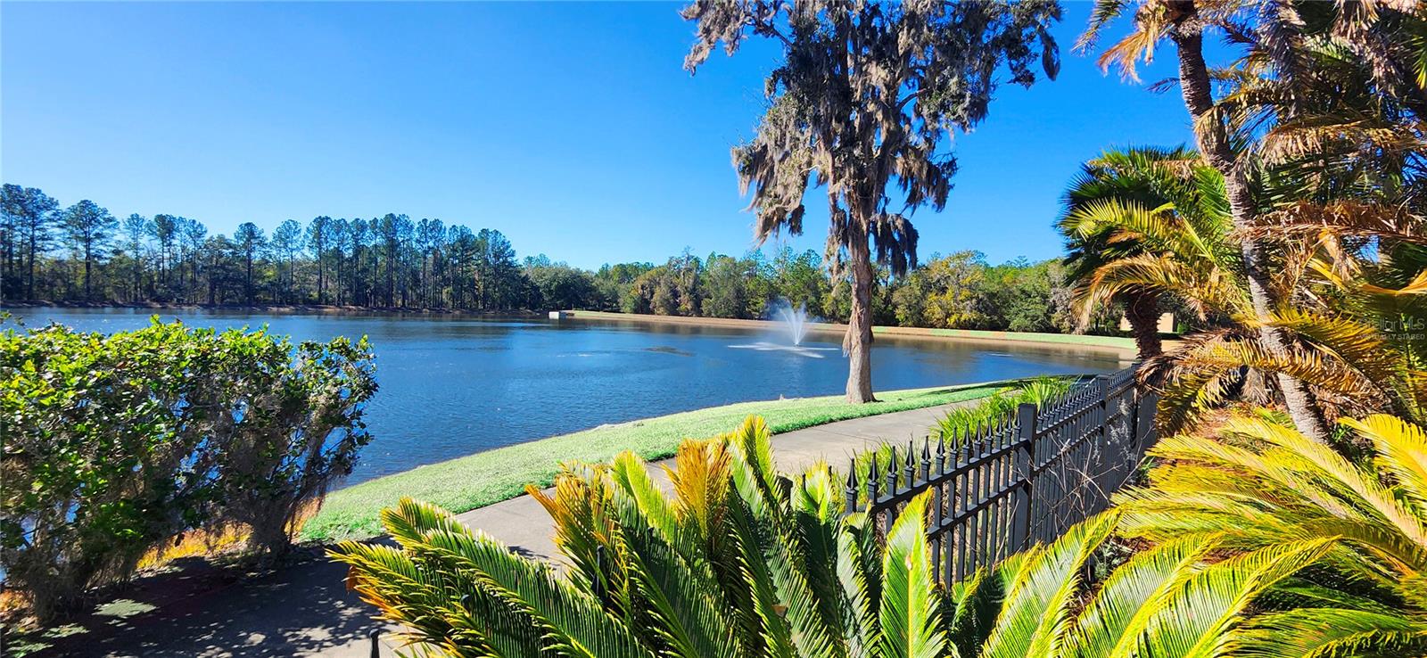 Image 88 of 100 For 19484 Forest Garden Court