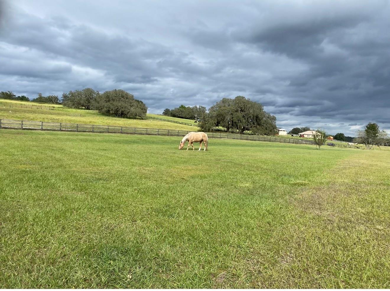 Image 12 of 69 For 20832 Hunter Hill Drive