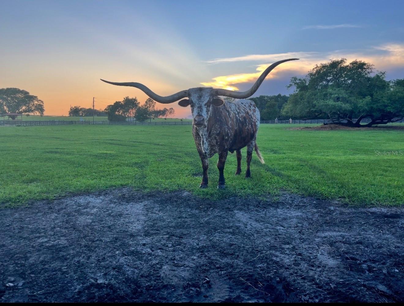 Image 15 of 69 For 20832 Hunter Hill Drive